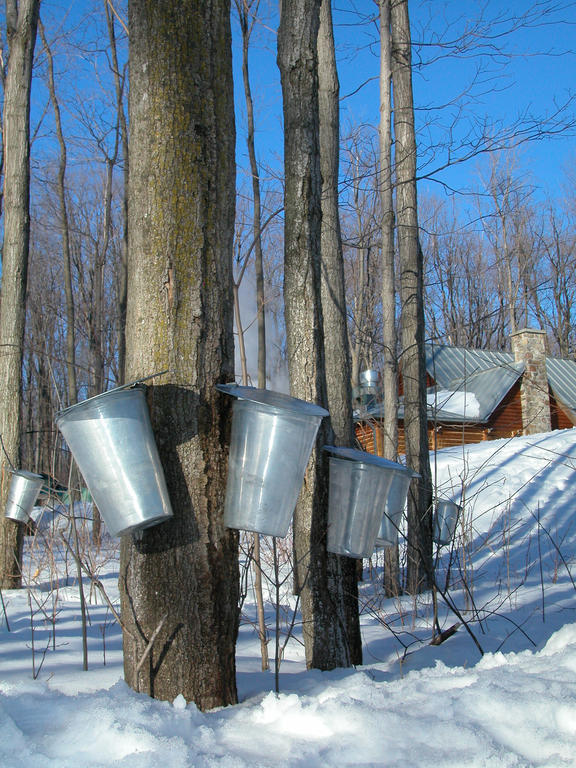Auberge des Gallant Rigaud Extérieur photo