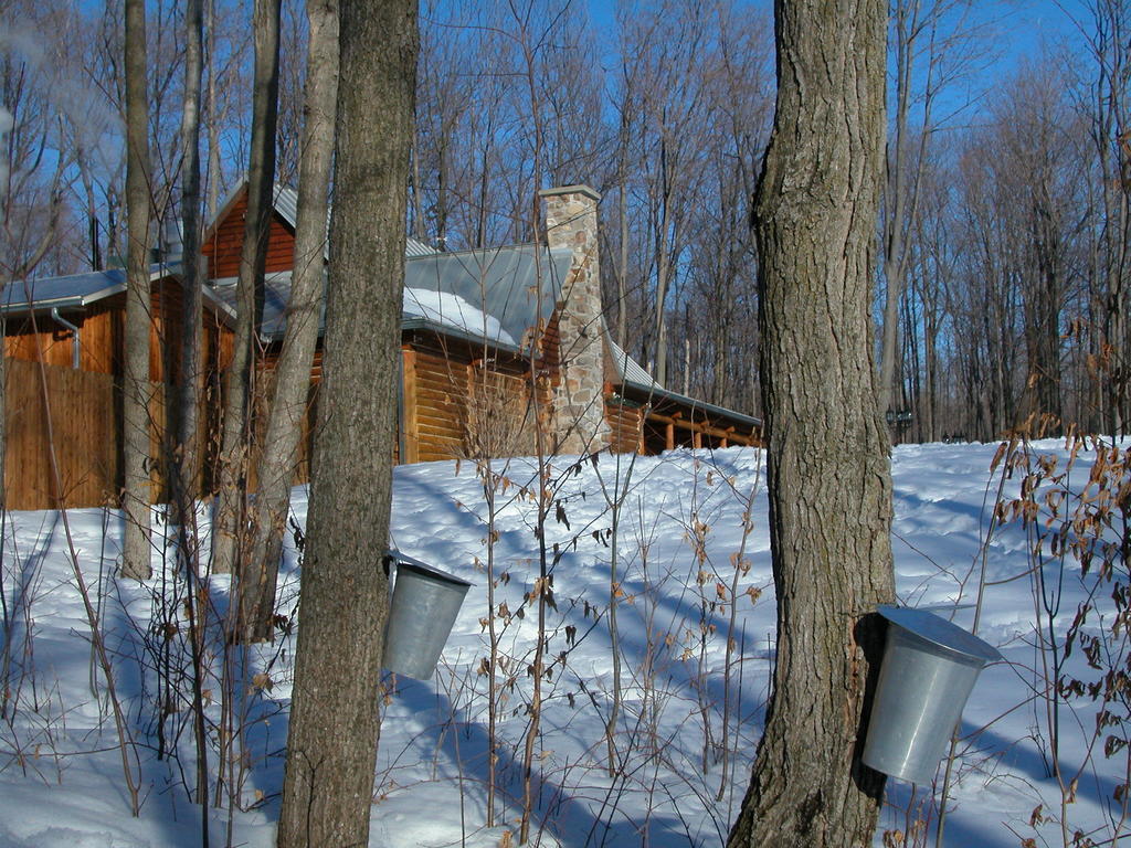 Auberge des Gallant Rigaud Extérieur photo