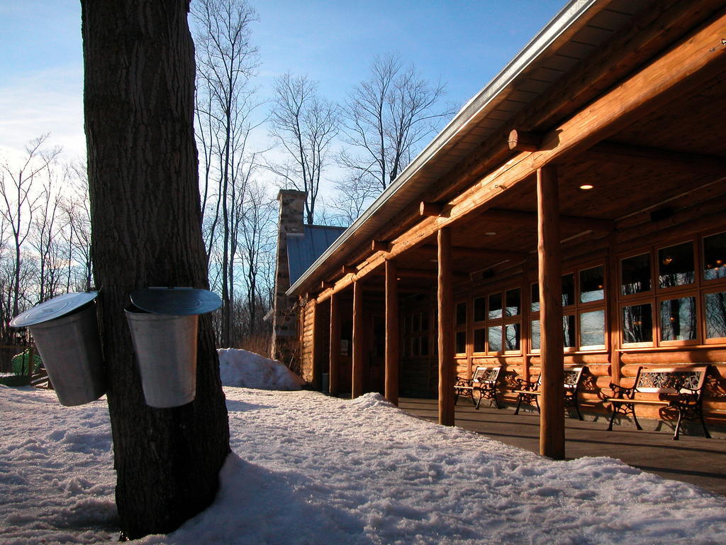 Auberge des Gallant Rigaud Extérieur photo