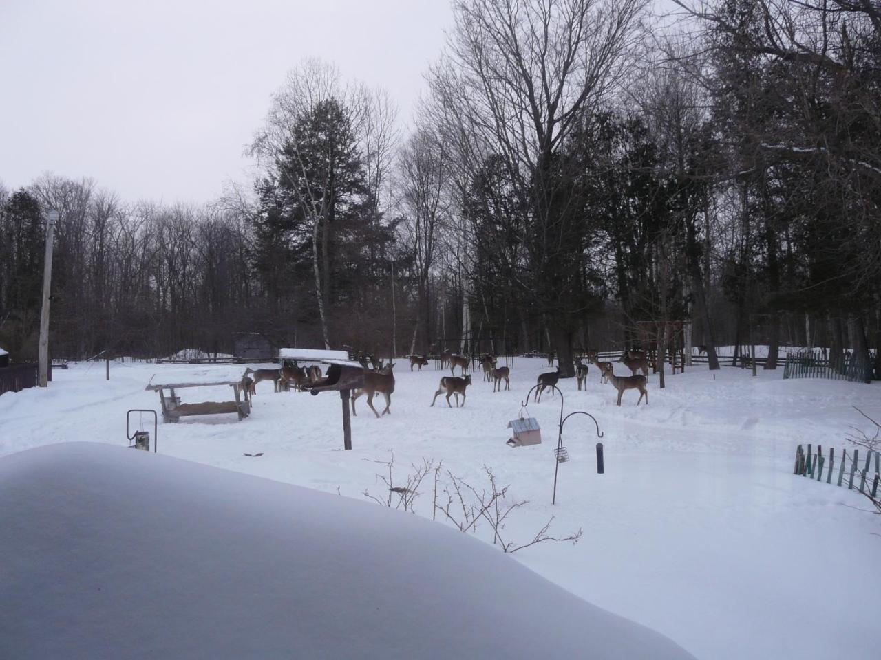 Auberge des Gallant Rigaud Extérieur photo